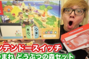 【悲報】ヒカキンさん、何処にも売ってないSwitch（どうぶつの森版）の開封動画を上げてしまい炎上