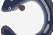 【悲報】日本人さん、ニホンウナギだけでなく絶滅危惧種のアメリカウナギまでも食べて応援してしまう・・・