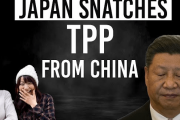 海外「そうだ！」中国のTPP参加申請に対する日本の政治家の反応に賛同の声