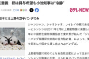 東京都の関係者たち「新たなパンダの来日はないと思う。みんな冷めてる。パンダより国益」
