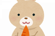 【衝撃】ウサギさん、実はニンジンが好きではなかった
