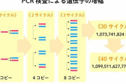 コロナ対策1位の国はニュージーランド、2位日本、3位台湾 パヨク「日本を高評価するなあああ！」
