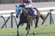 オジュウチョウサンが顕彰馬に選出