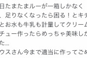 【画像】Twitter民「カレーとか作る時、ちゃんと箱に書いてある量で作ったらめっちゃ美味くできた…！」