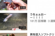 昆虫食youtuber「これはね～エビです」「食感がエビに似てる」「味はエビに近い」