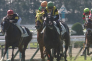 【競馬】菊花賞はワールドプレミアが勝ちます。その理由を一つ一つ丁寧にご説明します。