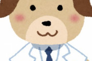 自称お医者様に近しい存在の方いますか？