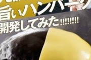 【画像】ヒカルが考案したハンバーグ、ジョイフルなのに美味そうｗｗｗ