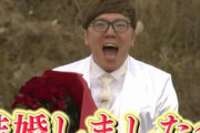 【祝】ヒカキンが30代の一般女性と結婚！