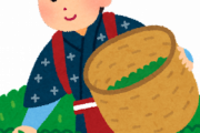 【衝撃】家族経営の茶農家で働くオレの『稼ぎ』がこちらｗｗｗｗｗｗ
