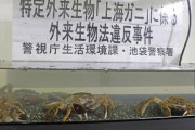 池袋警察署「上海ガニ押収したから見て」
