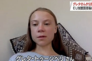 【グレタさん】大規模な環境破壊を国際的な犯罪にするよう提唱「ＥＵは対策で世界主導する責任がある」