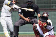 阪神近本光司、適時打も「もうちょっと、こういう風に打ちたかったなっていうのはある」