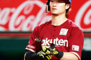 西川遥輝(30).240(183-44)6本25点11盗(7死)OPS.790