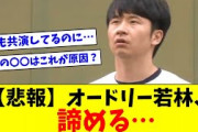 【悲報】オードリー若林さん、日向坂メンバーに対して諦める…【おひさま＆リトルトゥースの反応集】