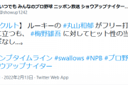 【悲報】ヤクルトドラ２丸山、右投手相手に安打なし