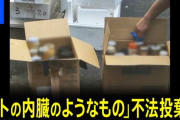 大阪の卸売市場で「ヒトの内臓のようなもの」見つかる