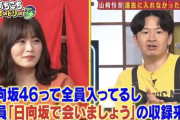【日向坂46】9年半選抜に入れなかったアイドルを知ってるか？
