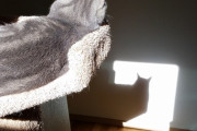 【ねこ画像】ねこと影絵、ごろごろねこ ほか【再】