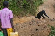 【悲報】アフリカ、村にですチンパンジーが現れて子供が殺される修羅の大地だった