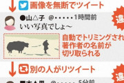 【北海道】画像無断転載ツイートのリツイートは著作者の権利侵害　最高裁判決