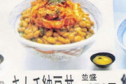 【悲報】牛丼、昔は290円で食べれたwwwwwwwwwwwwwww