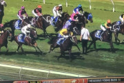 【動画】競馬レース最後の直線に男が乱入！ 全力疾走で突っ込んでくる馬を前に・・