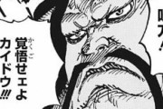 【ONEPIECE -ワンピース】四皇・百獣のカイドウさん、ここに来て株が爆上がりｗｗｗｗｗ