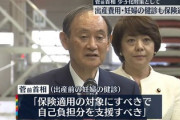 【朗報】菅元首相「少子化対策？ 出産を保険適用にすべきやろ」