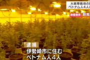 【グエン速報】大麻草栽培でベトナム人４人を逮捕　押収された大麻は末端価格で億単位（群馬）