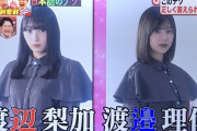 【欅坂46】あの謎が問題に…渡辺梨加×渡邉理佐『林修のニッポンドリル』にまさかの登場！