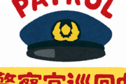 【嫌悪】なんJ民って警察が巡回連絡来たらなんて言ってる？