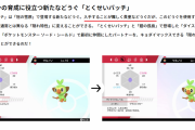 【ポケモン剣盾】「冠の雪原」では通常特性から夢特性に変えれるアイテム「特性パッチ」が登場！　でも結局気になるのって特性パッチの『入手手段』だよな