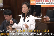 【デマ】維新梅村みずほさん「ウィシュマさんの死因はハンストだったかも」 →入管「彼女がハンストしていた事実はない」