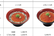 【画像】すき家のいくら丼がどう考えても高すぎる件