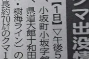 【画像】北海道の熊、お前らが思ってる以上にデカい…