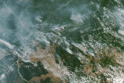 【宇宙から見える火事】ブラジルのアマゾンの熱帯雨林は記録的な速度で燃えています