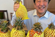【悲報】安倍晋三さん「今日のデザートはパイナップル。おいしそう。」