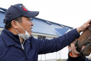 山本昌、馬を買う