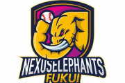 福井球団の活動休止、運営撤退発表　野球独立リーグ日本海オセアンＬ
