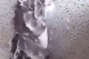 【動画】とんでもないネズミが現れるｗｗｗｗｗｗｗｗｗｗｗｗｗ