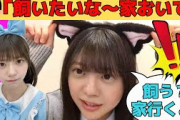 【冨里奈央】「家行くよ」オタをその気にさせるあざとなおなお/文字起こし（乃木坂46・のぎおび）