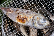 七輪で魚介焼いて食べた