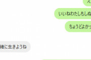 【ホロライブ】ぺこら→マリン船長へのメンヘラLINEがこちら「もうしのうかな」