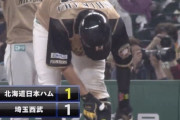 【vs西武】日ハム石川亮、同点タイムリー！