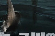 【悲報】サメ映画、これ以上新作を作りようが無い