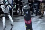 中国のロボット、ボクシング対決するもセルフノックアウト