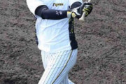 阪神・井上、柵越え12本　岡田監督も食事止め熱視線「打つポイント変わった。一番飛んでたんちゃう」