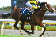 【訃報】02年NHKマイルCを制したテレグノシス死す