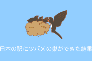 日本の京王電鉄の「ツバメの巣対策」が日本らしくて素晴らしいと海外で話題に！【タイ人の反応】